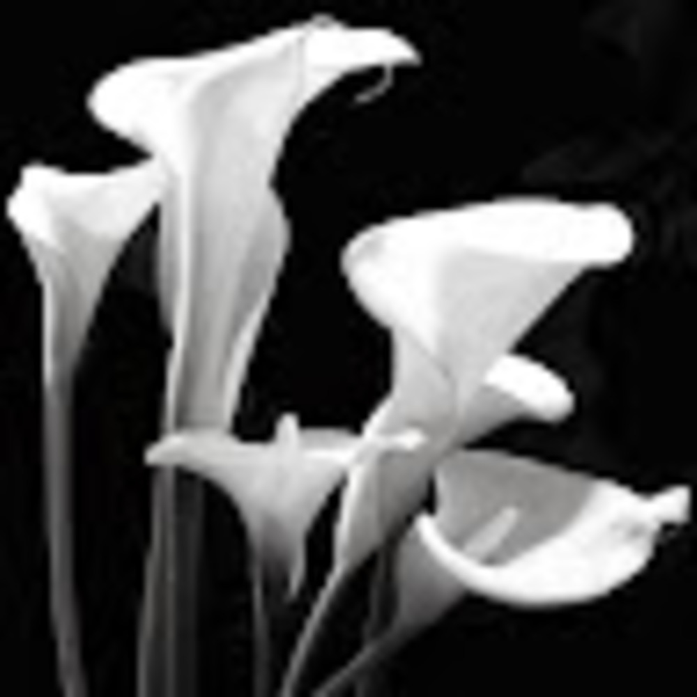 Meet your Posher, Wi누나